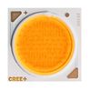 CREE LED CXA2530-0000-000N00T230G