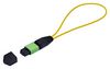 STARTECH LOOPBACKMTP12OS2SMF
