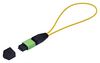 STARTECH LOOPBACKMTP12OS2SMM