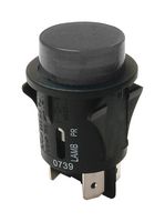 E-SWITCH PR14EC1100 PUSHBUTTON SWITCH, DPST, 16A, 125VAC, QC